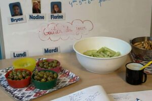 image-3910596085913278 image-3910596085913278